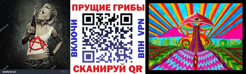 как найти наркотики  Губкинский  Галлюциногенные грибы Psilocybine cubensis 