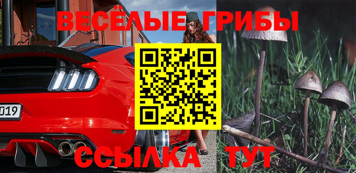 где купить наркоту  Галлюциногенные грибы ЛСД  Вход с VPN  Губкинский 