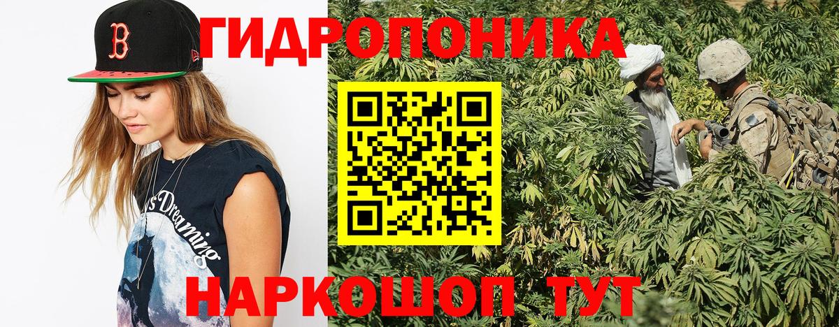 Губкинский  Канабис сатива  Бошки Шишки White Widow  Канабис сатива  Вход с VPN  МАРИХУАНА VHQ 